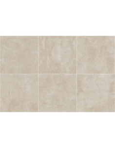 Sahara Beige 60 X 60 R H5 2